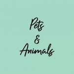 Pets | Animals